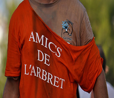 Fiesta San Juan Bautista - L´Arbret