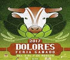 Feria y Fiestas de Agosto