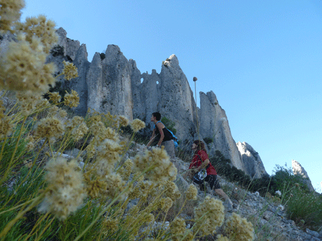 /Esp/Cosas_que_hacer/Turismo_Activo/PublishingImages/Aestas Ecoturismo/3.gif