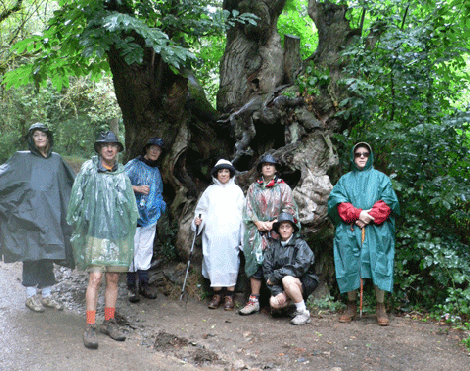 /Esp/Cosas_que_hacer/Turismo_Activo/PublishingImages/Aestas Ecoturismo/6.gif