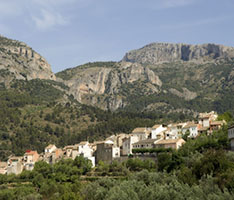 ALCOLEJA