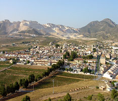 ALGUEÑA
