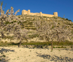 Castalla