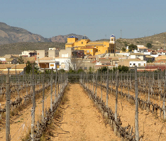 HONDON DE LAS NIEVES