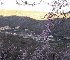 LLOSA DE CAMACHO (E.L.M.)