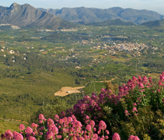 VALL DE LAGUAR (LA)