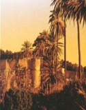 El Almacén de Morand