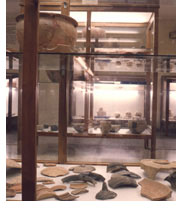 Museo Historico Mpal. Sección Arqueológica y Paleontológica
