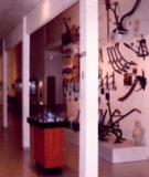 Museo Arqueológico Etnológico Gratiniano Baches