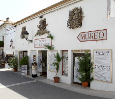Museo Microgigante