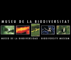 Museo de la Biodiversidad