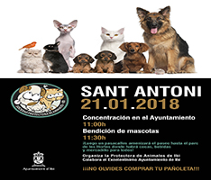Día de Sant Antoni