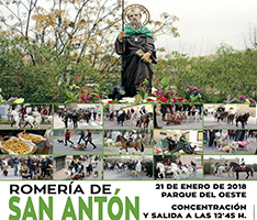 Romería de San Antón