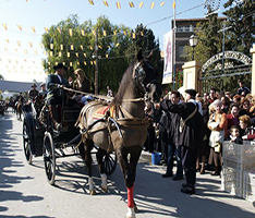 en honor de San Antonio Abad