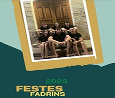 Festa dels Fadrins