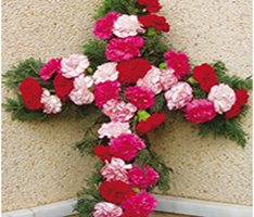 Cruces de Mayo
