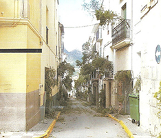 Festa de Les Enrramaes