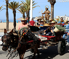 Festes de Sant Isidre Llaurador