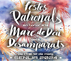 Fiestas de la Verge dels Desamparats...