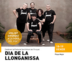 Foguera de Sant Antoni