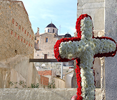 Cruces de Mayo
