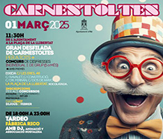 Carnaval de Ibi