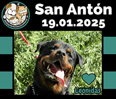 Día de Sant Antoni
