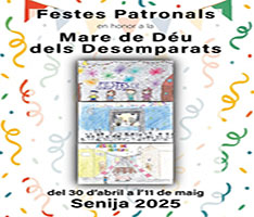 Fiestas de la Verge dels Desamparats...
