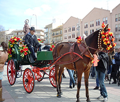 Fira i Porrat de Sant Antoni