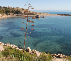Cala del Morro Blanc