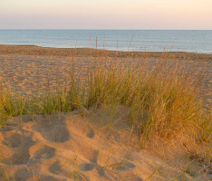 Playa de la Almadrava