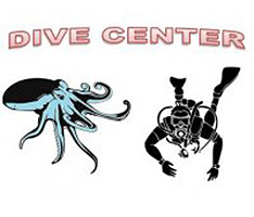 Octopus Diving