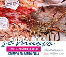 Mercado de Pescado Fresco en el Puerto Pesquero