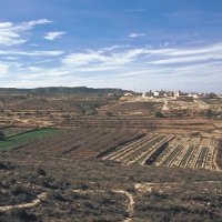 SAN MIGUEL DE SALINAS